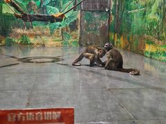 -西安秦岭野生动物园