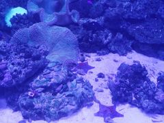 -浙江自然博物院(杭州馆)