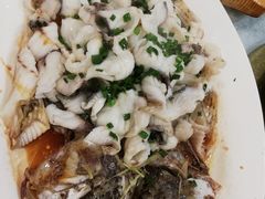 香葱淋大罗非鱼-喜运来酒楼(江南大道店)