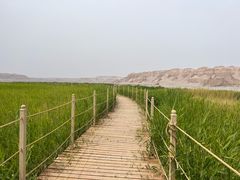-哈密雅丹大海道景区