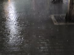 -陈有良尖椒鸡(渝中示范店)