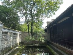 -八大山人梅湖景区