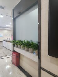 -雍禾植发