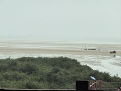 -北海金海湾红树林生态旅游区