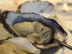 -Oyster Talks 四度蚝法餐厅