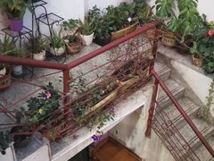 -阿鹏故事云南野生菌火锅(人民路店)