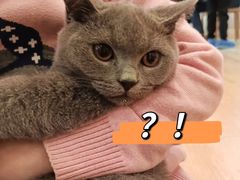 -猫咪派对(江南西店)