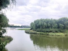 -大兴滨河森林公园