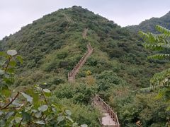 -大岭沟猕猴桃谷风景区