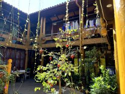 -小红帽摄影(丽江店)