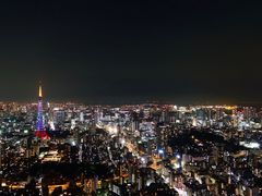 -六本木新城展望台(东京城市景观)