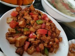 -东方巨龟苑景区