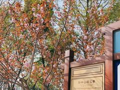 -阅江楼风景区