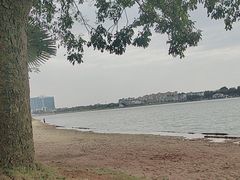 -仙湖旅游度假区