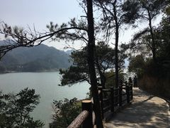 -羚羊峡古栈道森林公园