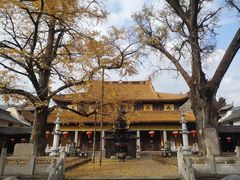 -溪口-滕头旅游景区