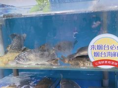 -澜小宴·胶东海鲜烟台味(时光塔店)