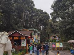 -韶关经律论国际酒店温泉