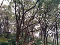 -忠山公园