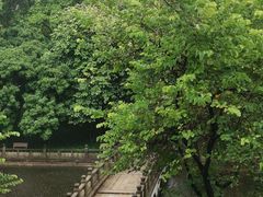 -广东革命历史博物馆办公楼