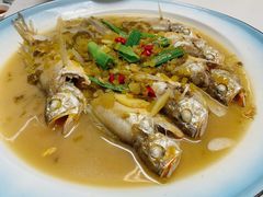 小黄鱼-新楚记