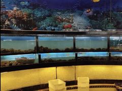 -渔公码头·九龙湾国际饭店