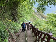 -仙岛湖旅游风景区