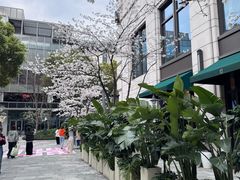 -杭州城中香格里拉大酒店