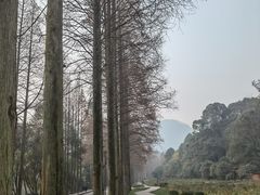 -青城山