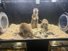 -太平洋海底世界