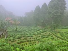 -叶婆婆豆浆馍馍