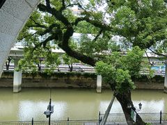 -广东胜利宾馆西关粤中餐厅