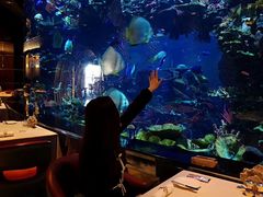 -迪拜帆船酒店海底餐厅