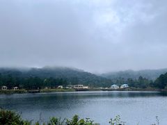 -海南热带雨林国家公园吊罗山景区