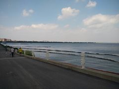 -贡湖湾湿地公园