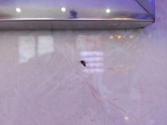 -幸福蓝海国际影城(扬名IMAX店)