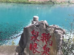 -靖西鹅泉风景区