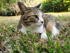 -福田红树林生态公园