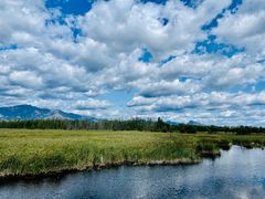 -野鸭湖国家湿地公园
