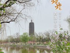 -西海子公园