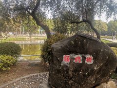 -金砂公园