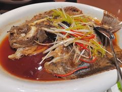 -蒙古人烹羊专家(东风大街店)