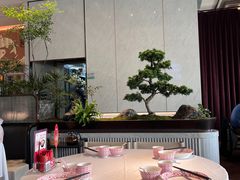 -谭厨中山传家菜.乳鸽.脆鲩鱼(华强北中航城店)