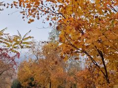 -三块石国家森林公园