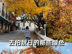 -北京张裕爱斐堡酒庄