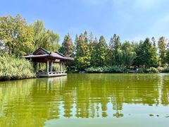 -济南大明湖景区