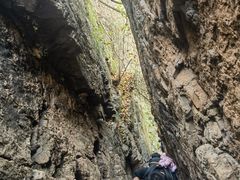 -天女山森林公园