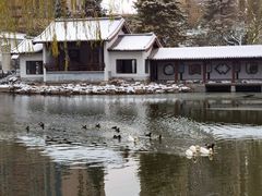 -团结湖公园