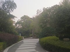 -上海崇明金茂凯悦酒店