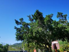 -三亚南山文化旅游区